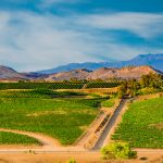 Ride in Luxury Transportation During Your Temecula Wine Tour