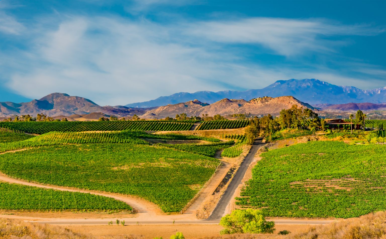 Ride in Luxury Transportation During Your Temecula Wine Tour Royal