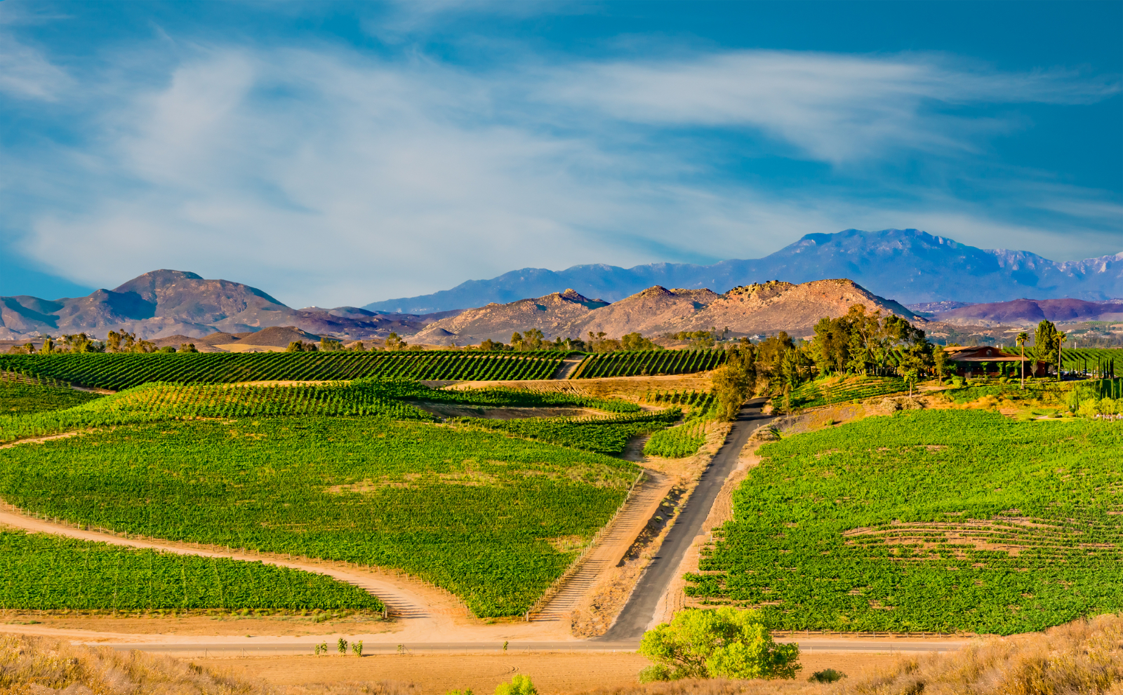 Ride in Luxury Transportation During Your Temecula Wine Tour